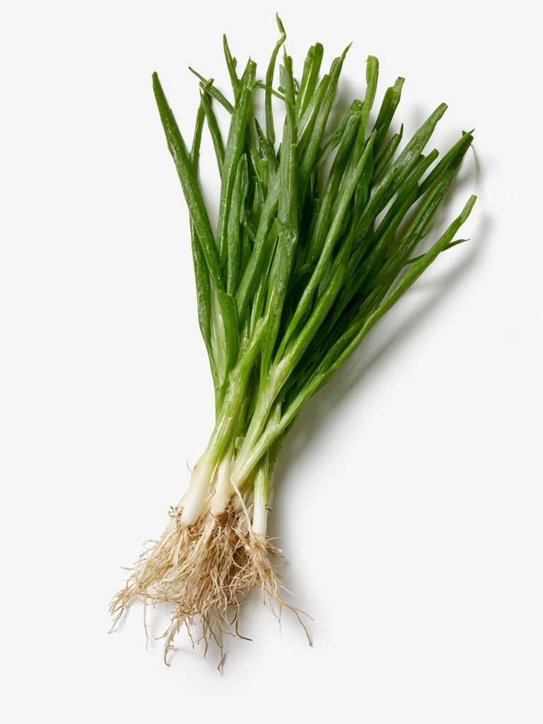 Fresh Green Onion Still Life Poster. poster — photography art