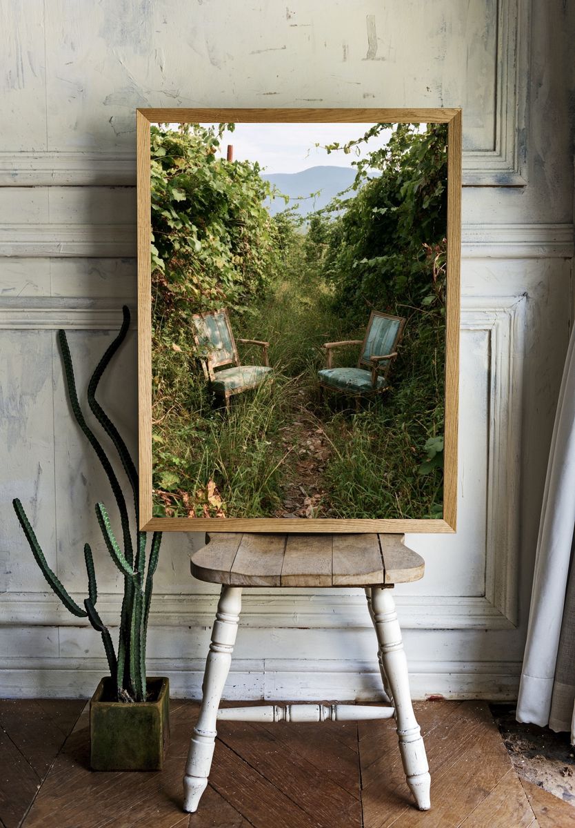 Overgrown Garden Chairs Photography Poster. — room view 1