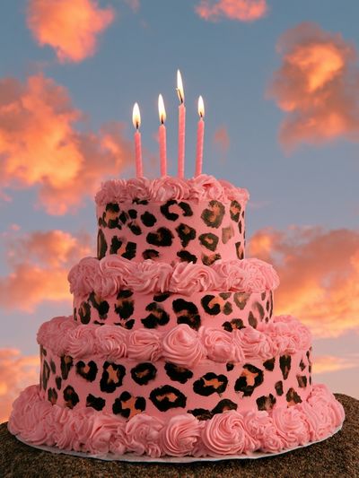 Pink Leopard Cake Photography Poster.