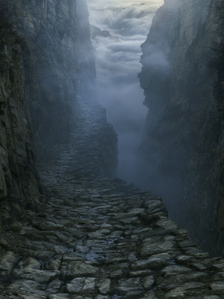 Misty Canyon Path Photography Poster. poster detail