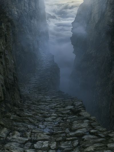 Misty Canyon Path Photography Poster. poster