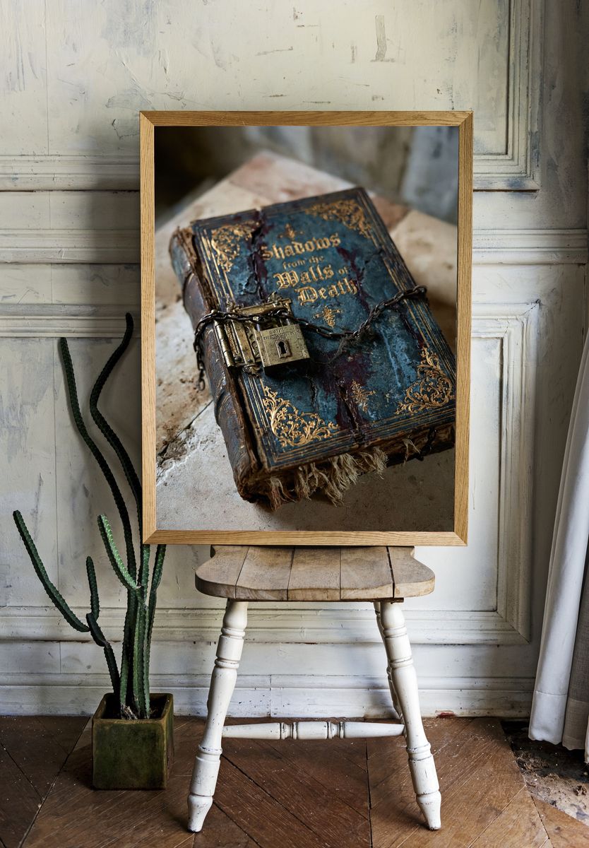 Shadowbound Grimoire Photography Poster. room preview