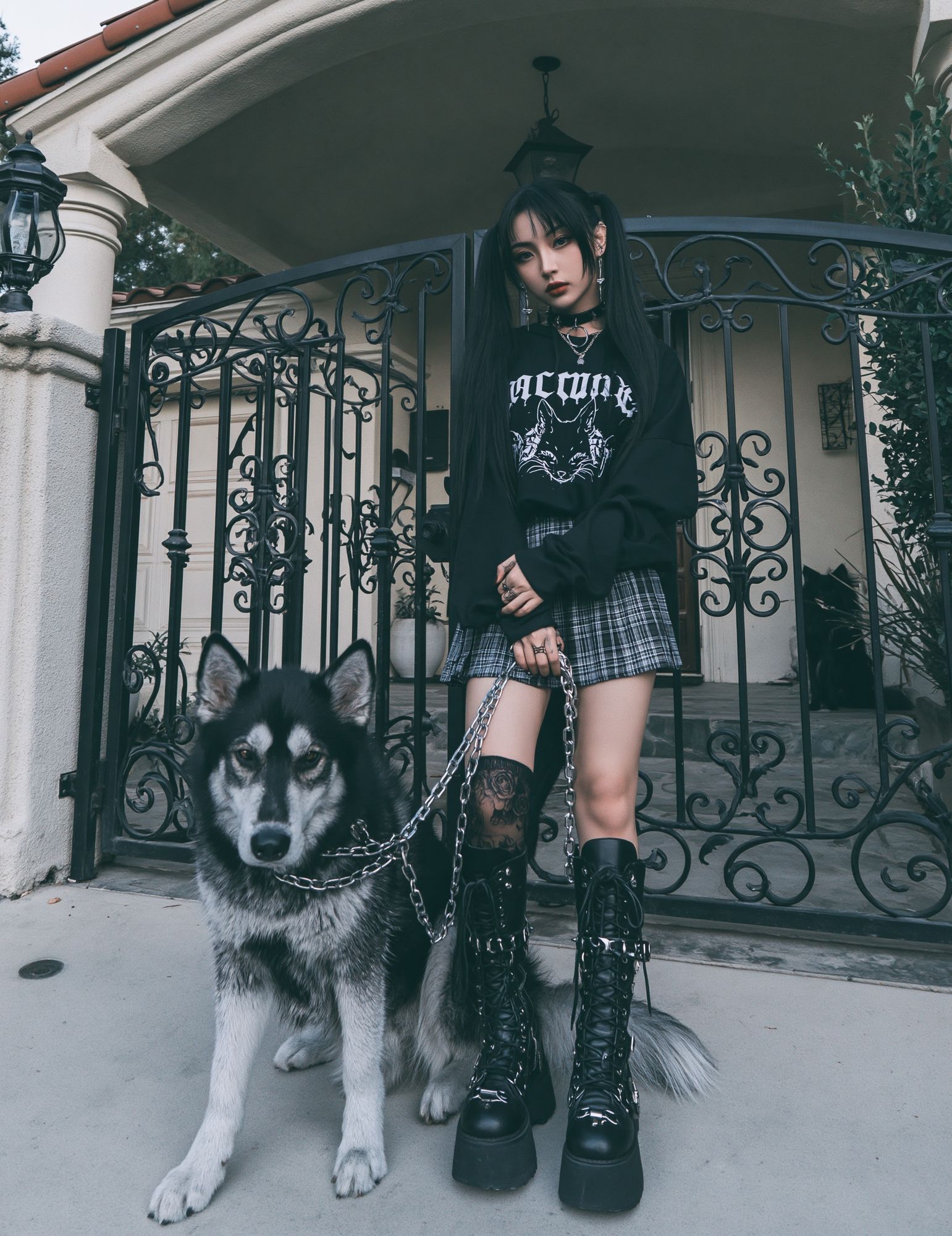 Gothic Girl with Husky Photography Poster. poster detail
