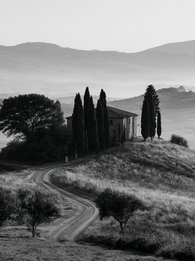 Tuscan Hillside Monochrome Poster.
