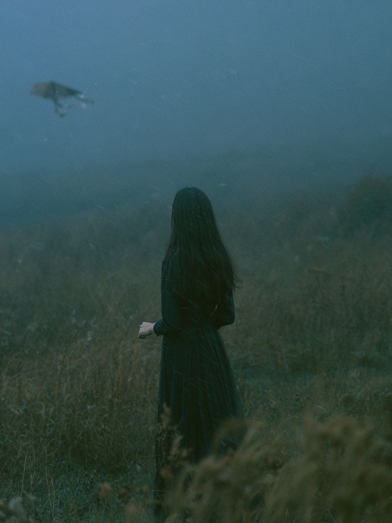 Misty Woman in Field Photography Poster. poster — photography art