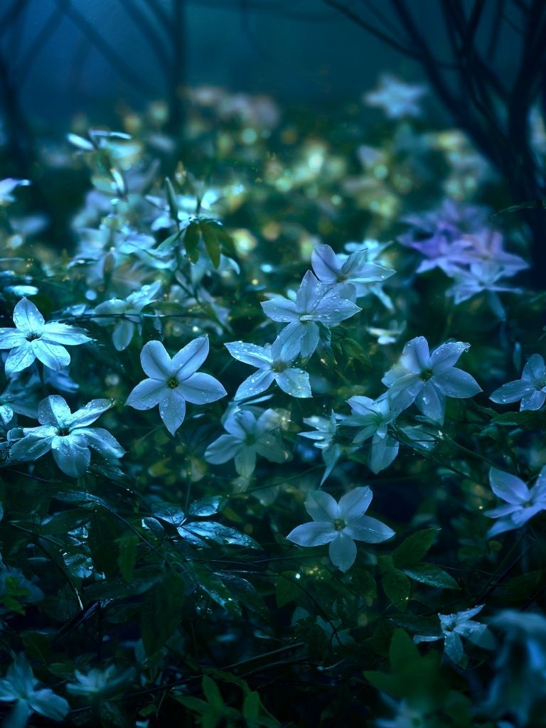 Moonlit Wildflowers Photography Poster. poster — photography art