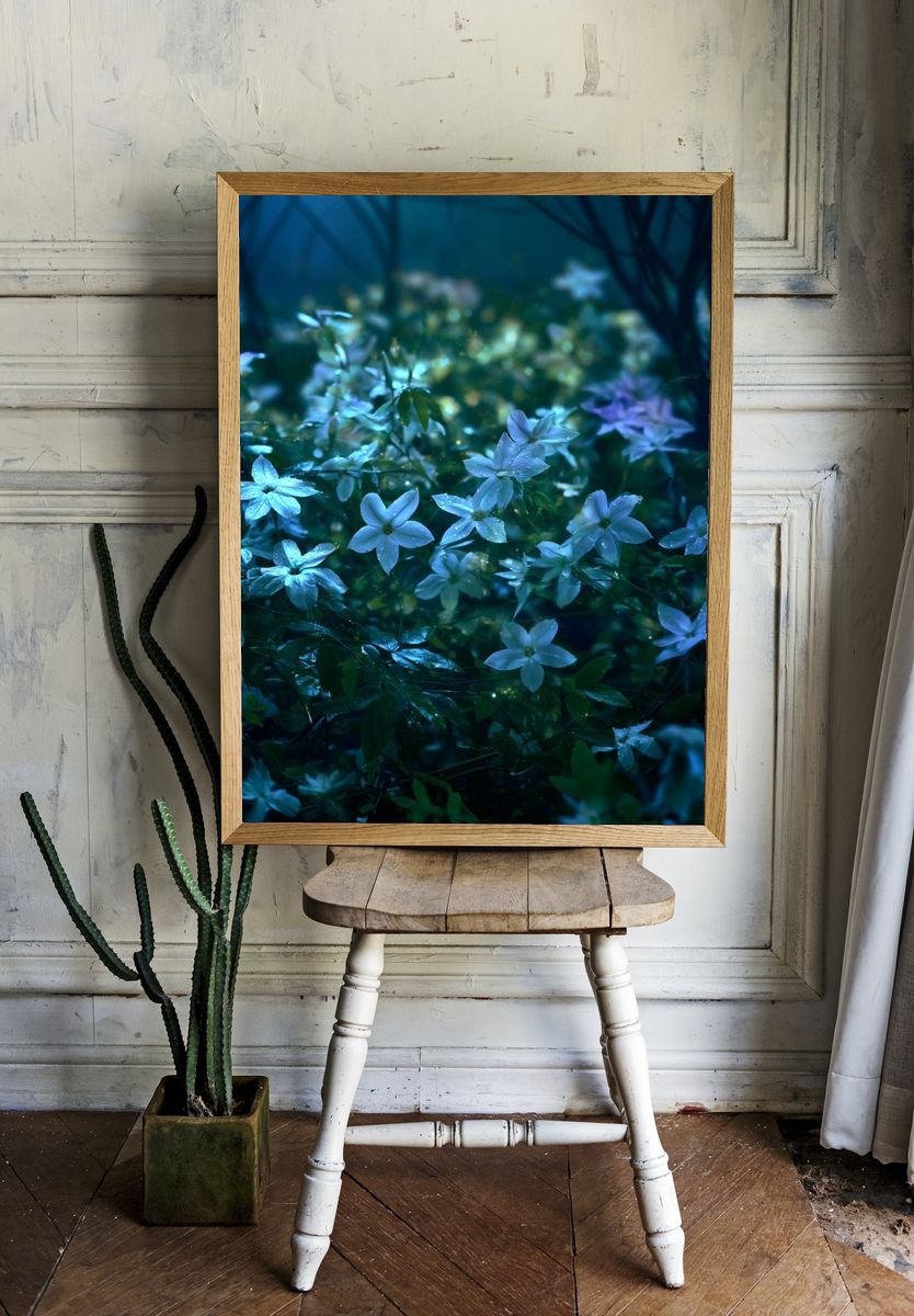 Moonlit Wildflowers Photography Poster. — room view 1