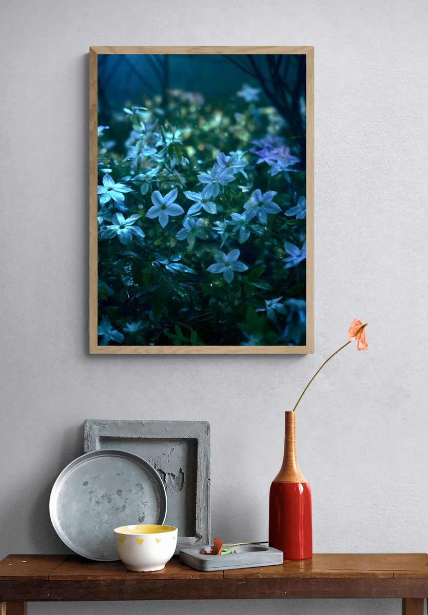 Moonlit Wildflowers Photography Poster. — room view 3