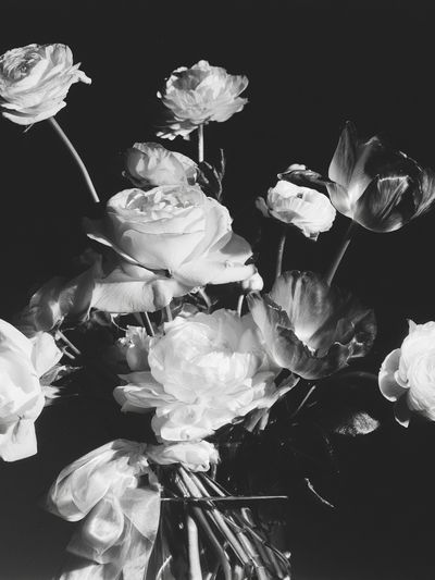 Black and White Floral Photography Poster.