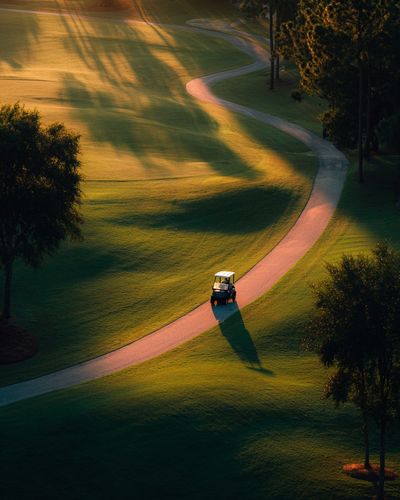 Sunlit Golf Course Landscape Poster.