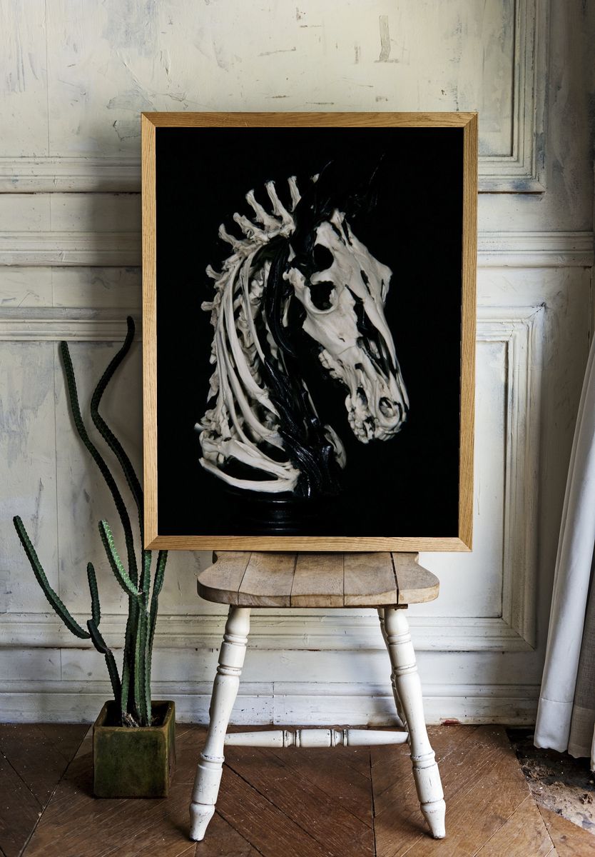 Skeleton Horse Head Photography Poster. — room view 1