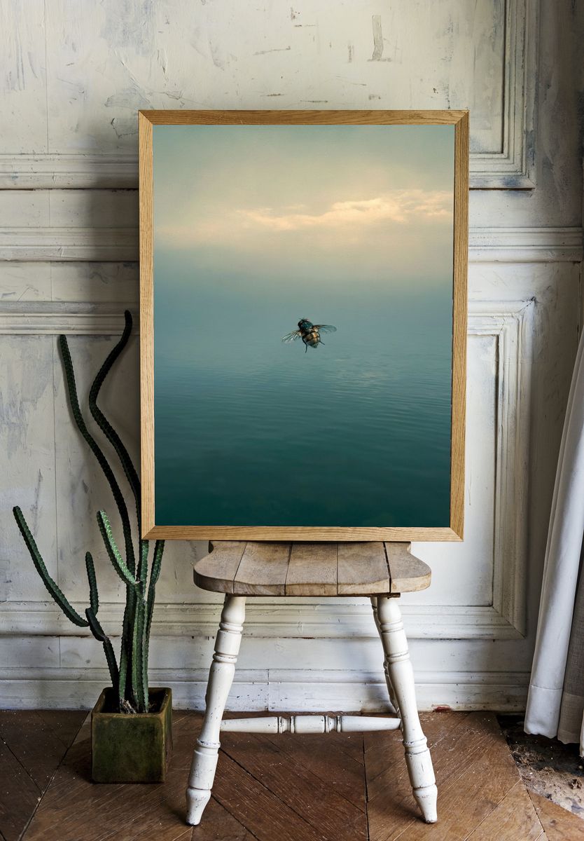 Fly Over Calm Waters Photography Poster. — room view 1