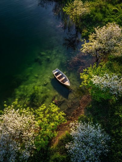 Spring Lake Boat Photography Poster. poster print