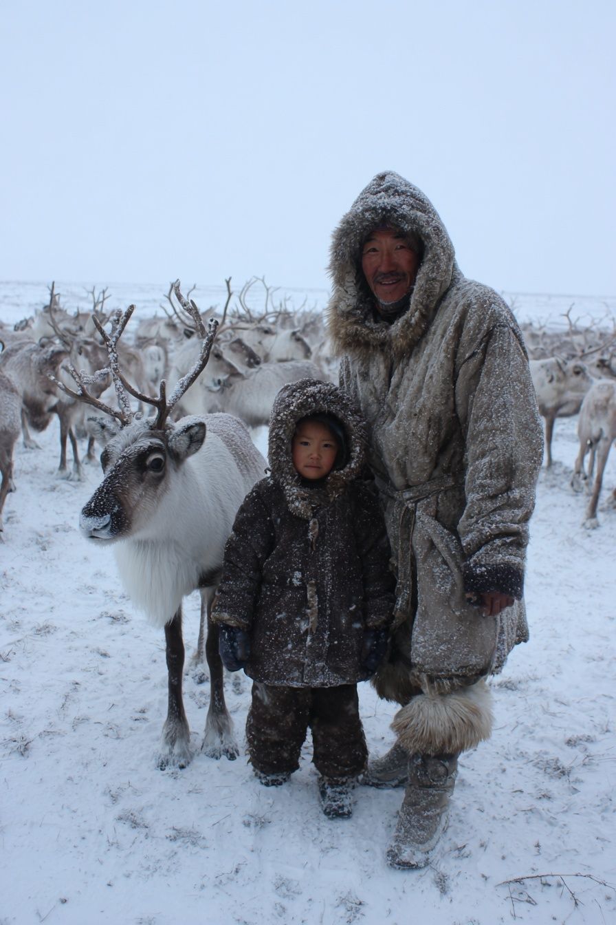 Winter Reindeer Portrait Poster. poster — photography art