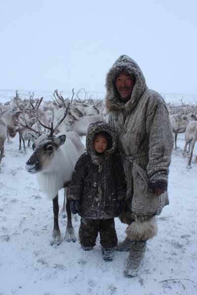 Winter Reindeer Portrait Poster.