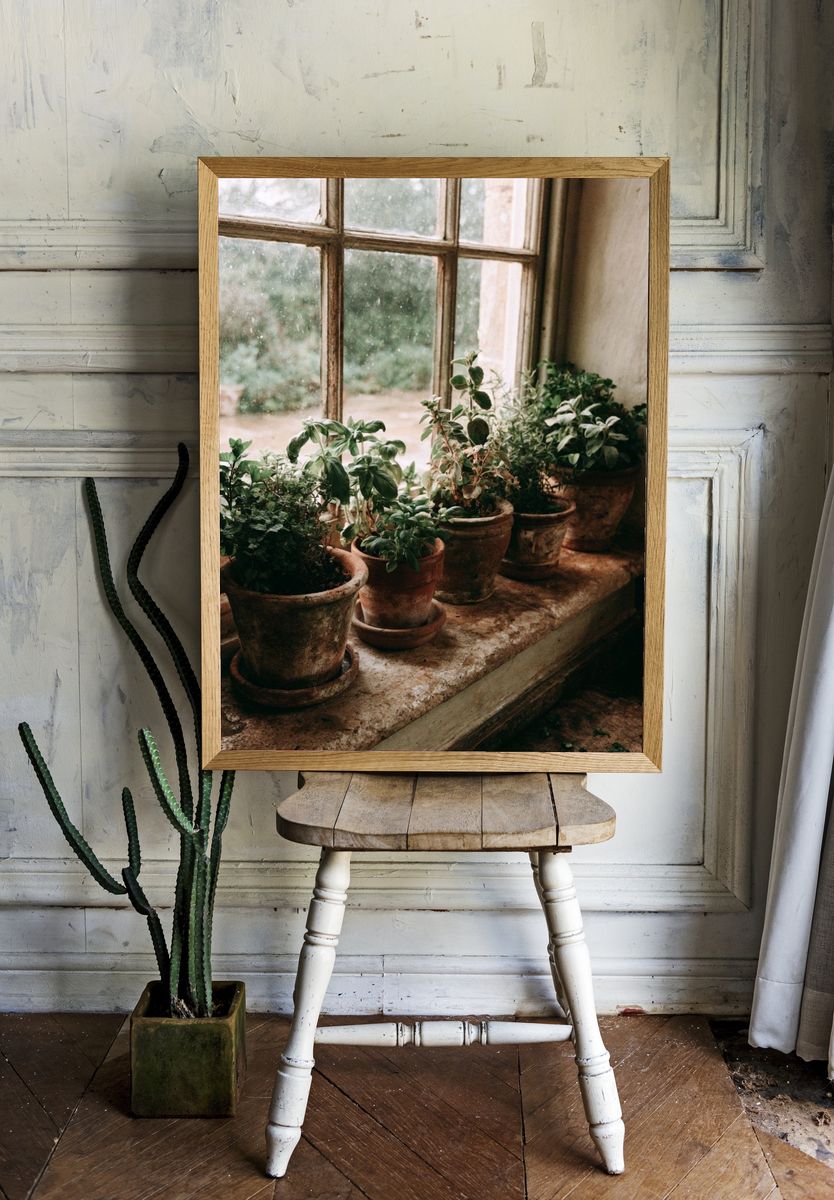 Potted Herbs by Window Photography Poster. — room view 1