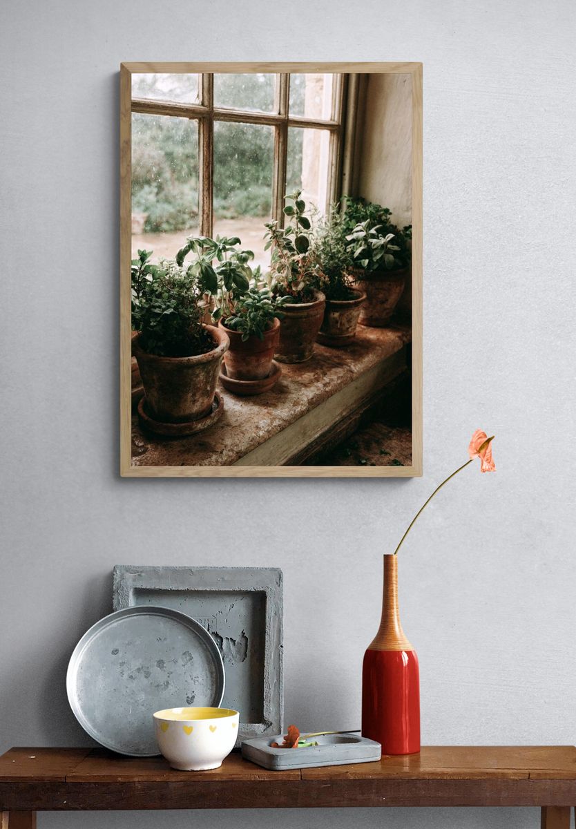 Potted Herbs by Window Photography Poster. — room view 3