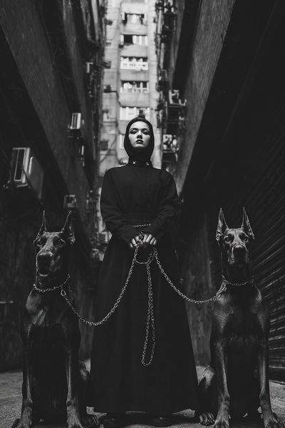 Gothic Woman with Great Danes Poster.