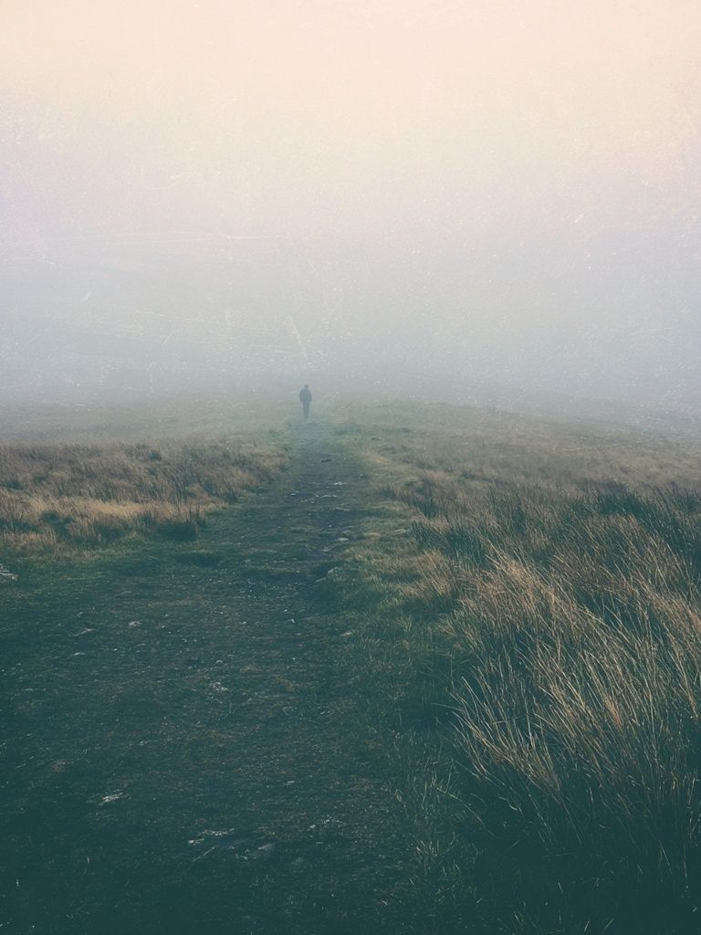 Misty Moorland Path Photography Poster. poster — photography art