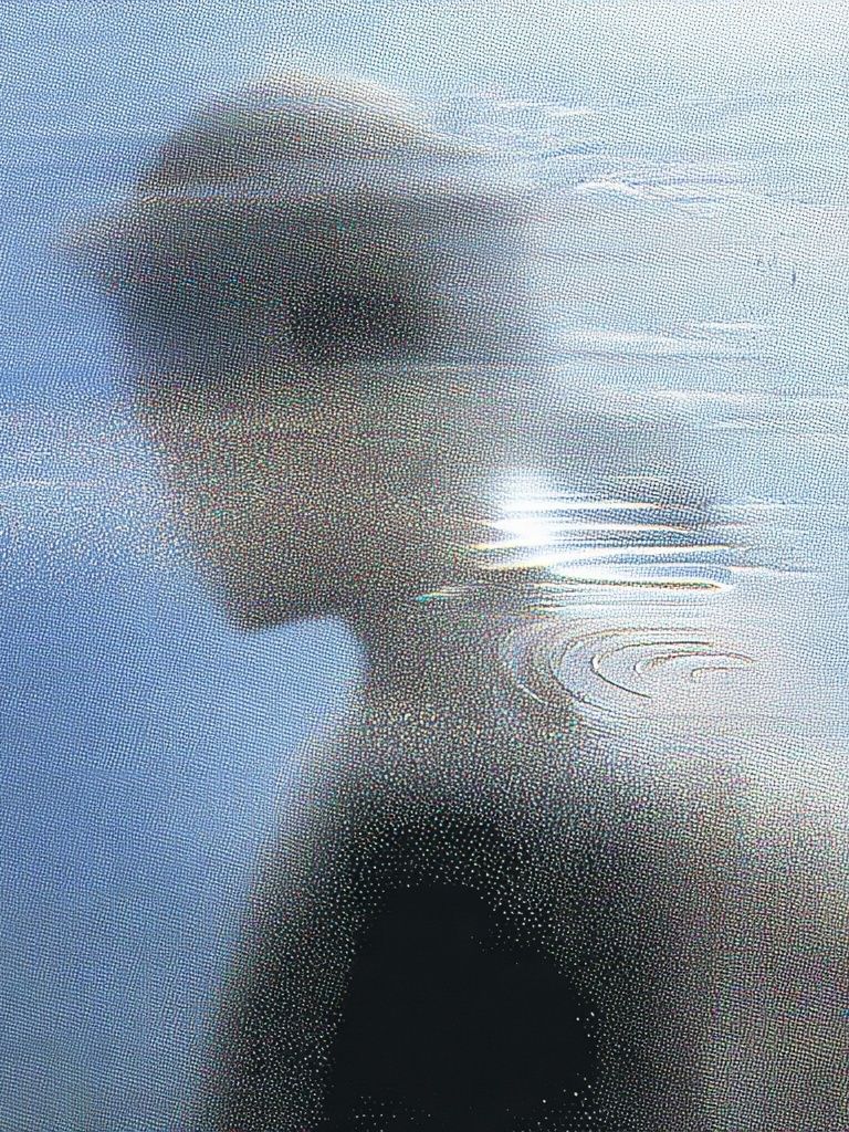Dreamlike Silhouette Photography Poster. poster detail