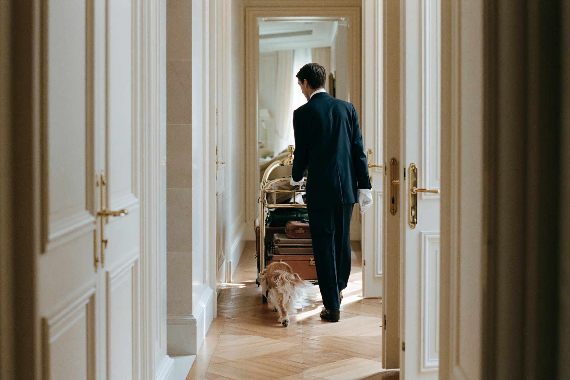 Elegant Hotel Hallway Photography Poster. poster — photography art