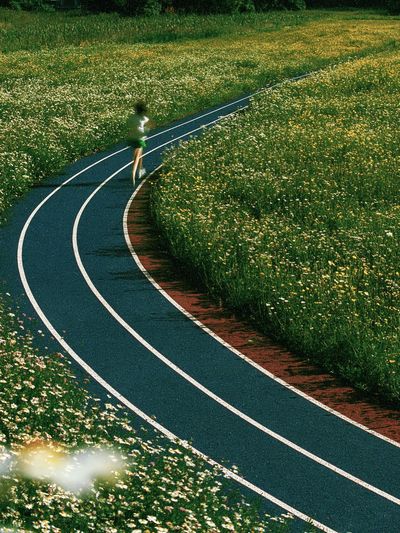 Curving Meadow Path Photography Poster.