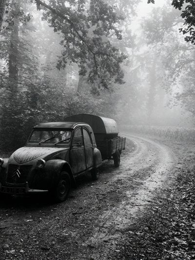 Vintage Citroën Forest Road Print.