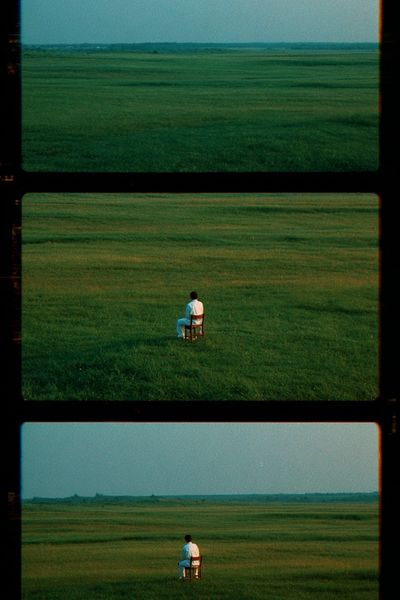 Solitary Figure in Meadow Photography Poster. poster