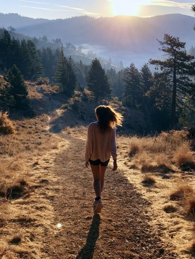 Sunlit Mountain Hike Photography Poster.