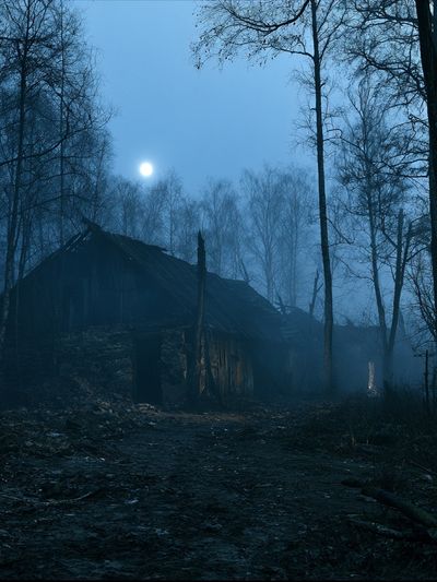 Moonlit Forest Cabin Photography Poster.