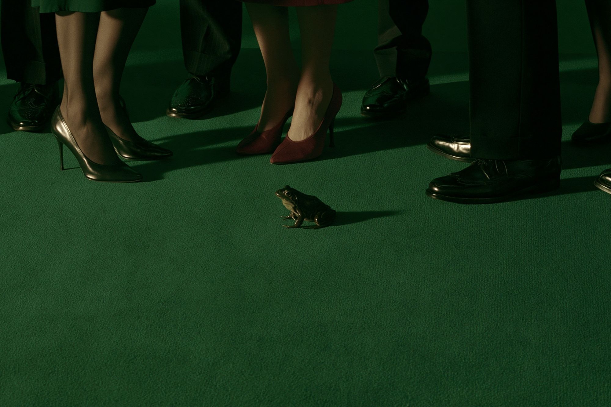 Surreal Frog Crowd Photography Poster. poster — photography art