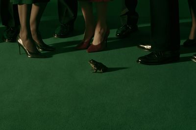 Surreal Frog Crowd Photography Poster.