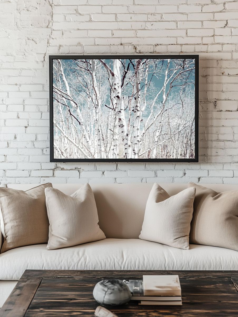 Birch trees Utah high country. — room view 1