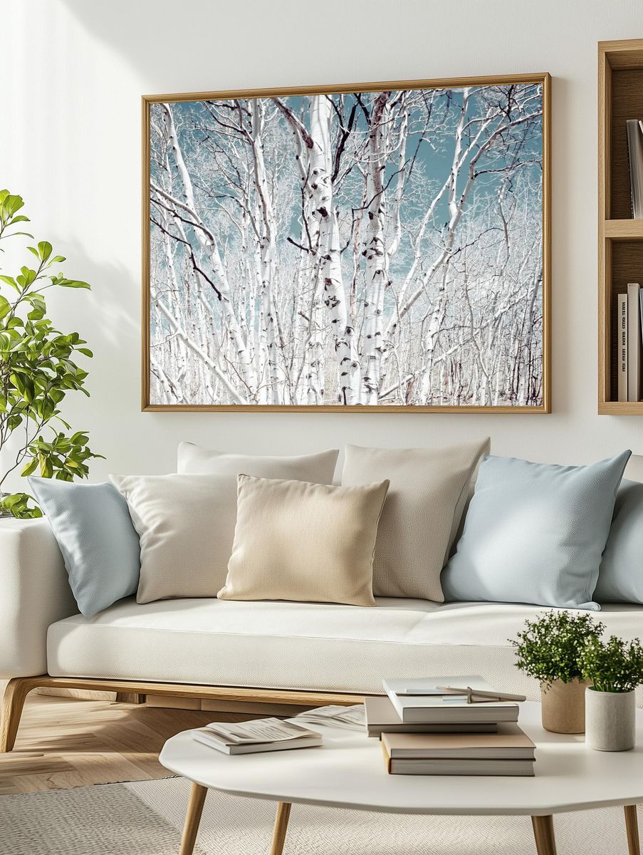 Birch trees Utah high country. — room view 2