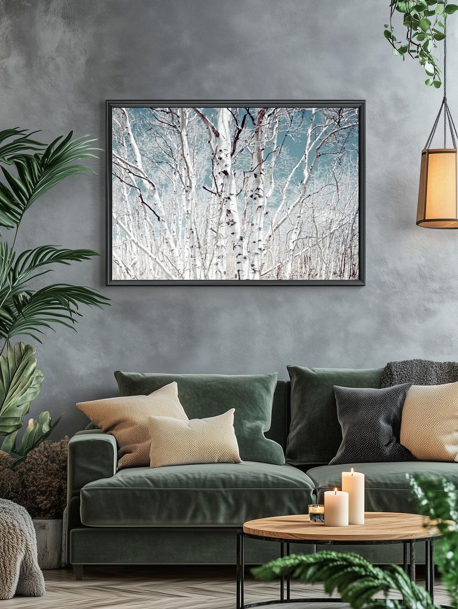 Birch trees Utah high country. — room view 4