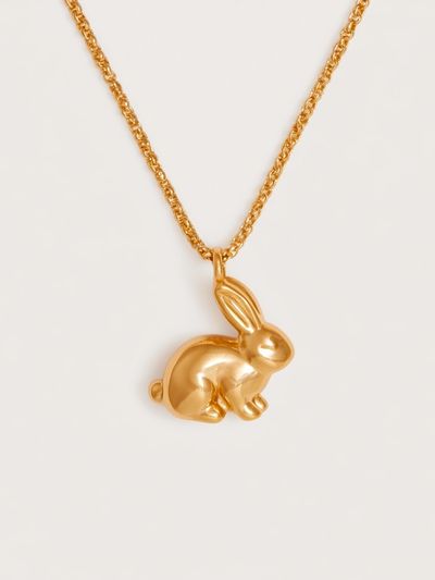 Golden Rabbit Pendant Photography Print. poster