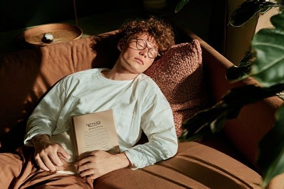 Sunlit Reading Nap Photography Poster. poster — photography art