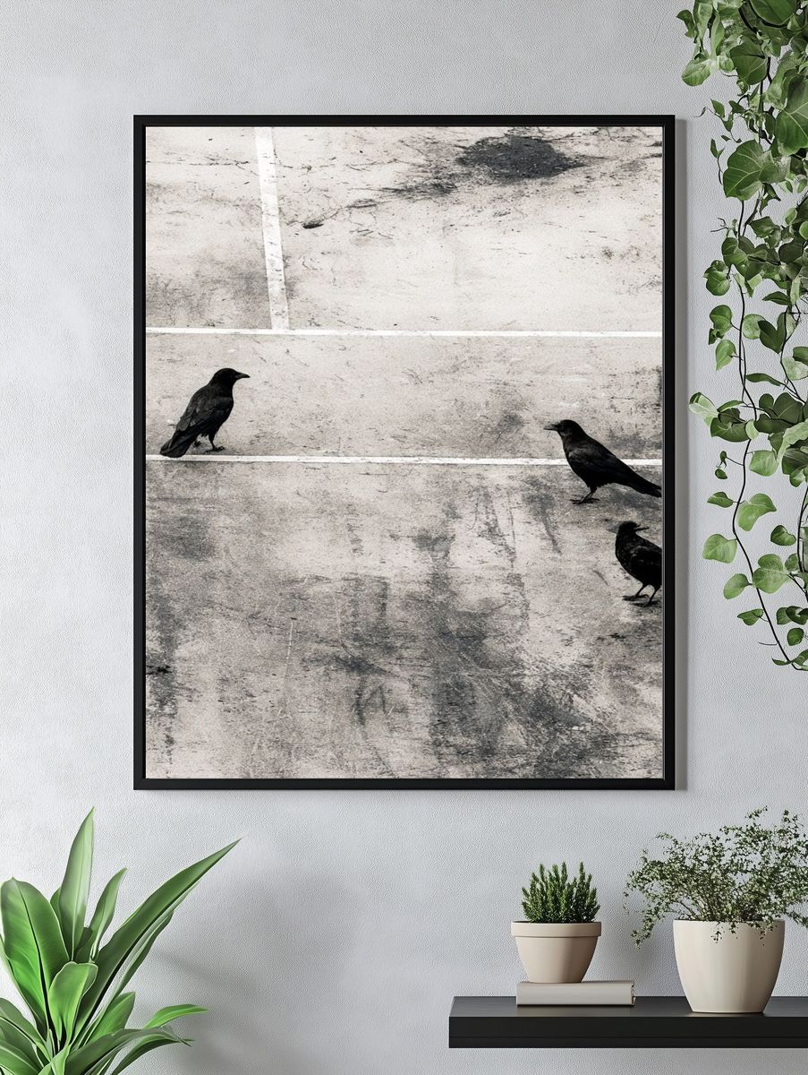 Crows on Concrete Photography Print. — room view 4