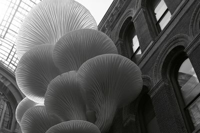 Urban Mushroom Sculpture Photography Poster. poster print