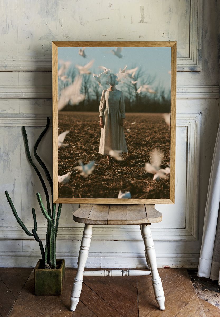 Dreamlike Dove Field Photography Poster. — room view 1