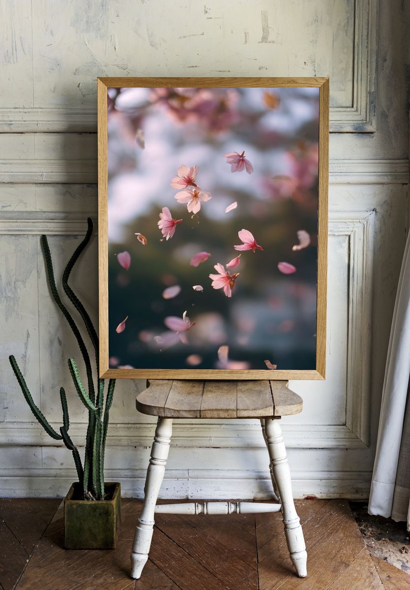 Cherry Blossom Drift Photography Poster. room preview