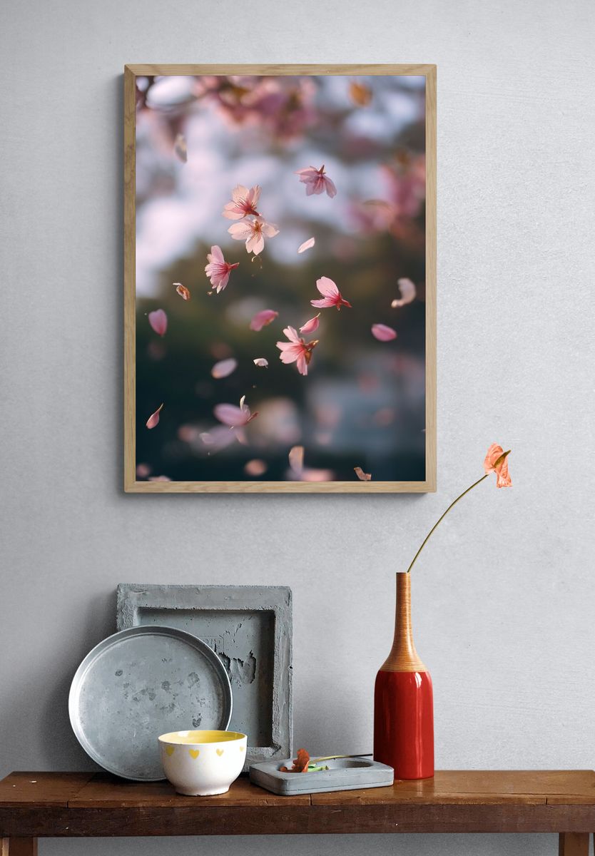 Cherry Blossom Drift Photography Poster. — room view 3