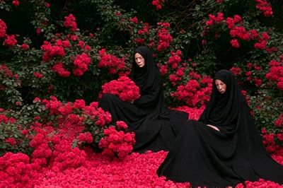 Black Veil in Rose Garden Poster.