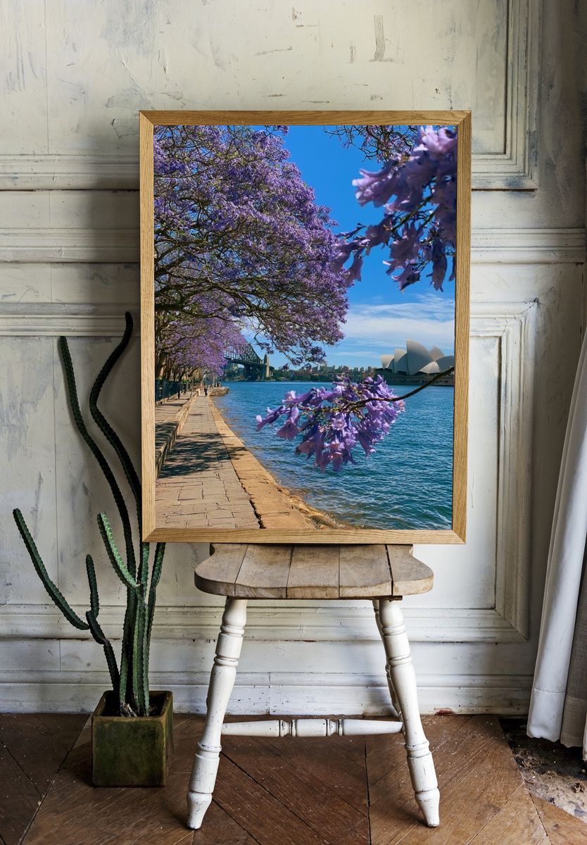 Sydney Harbour Jacaranda Print. room preview