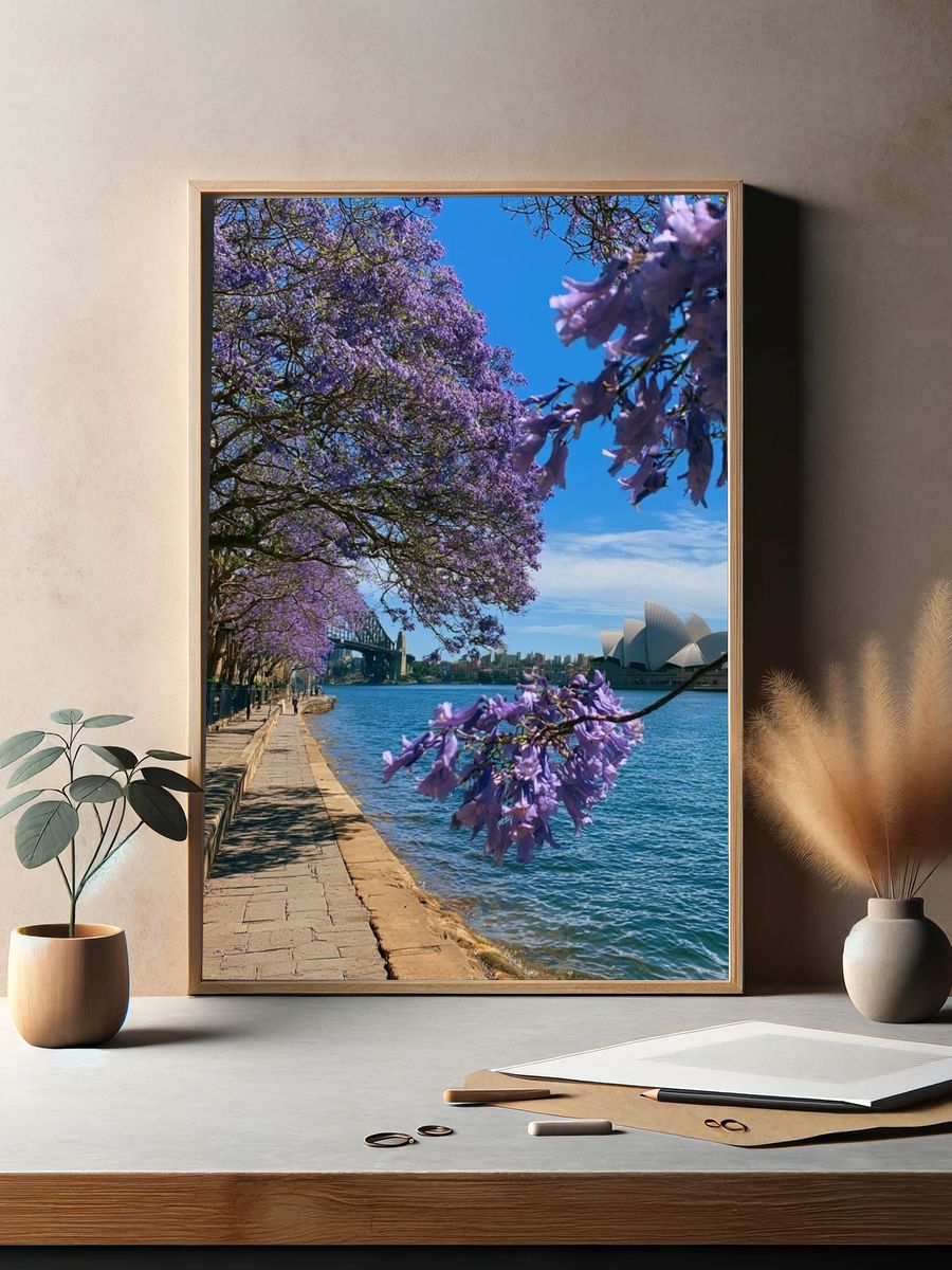 Sydney Harbour Jacaranda Print. — room view 2