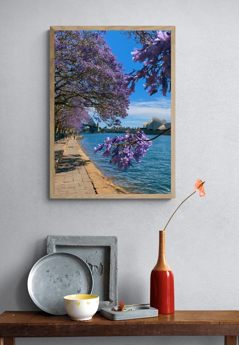 Sydney Harbour Jacaranda Print. — room view 3