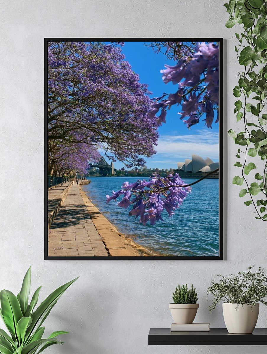 Sydney Harbour Jacaranda Print. — room view 4