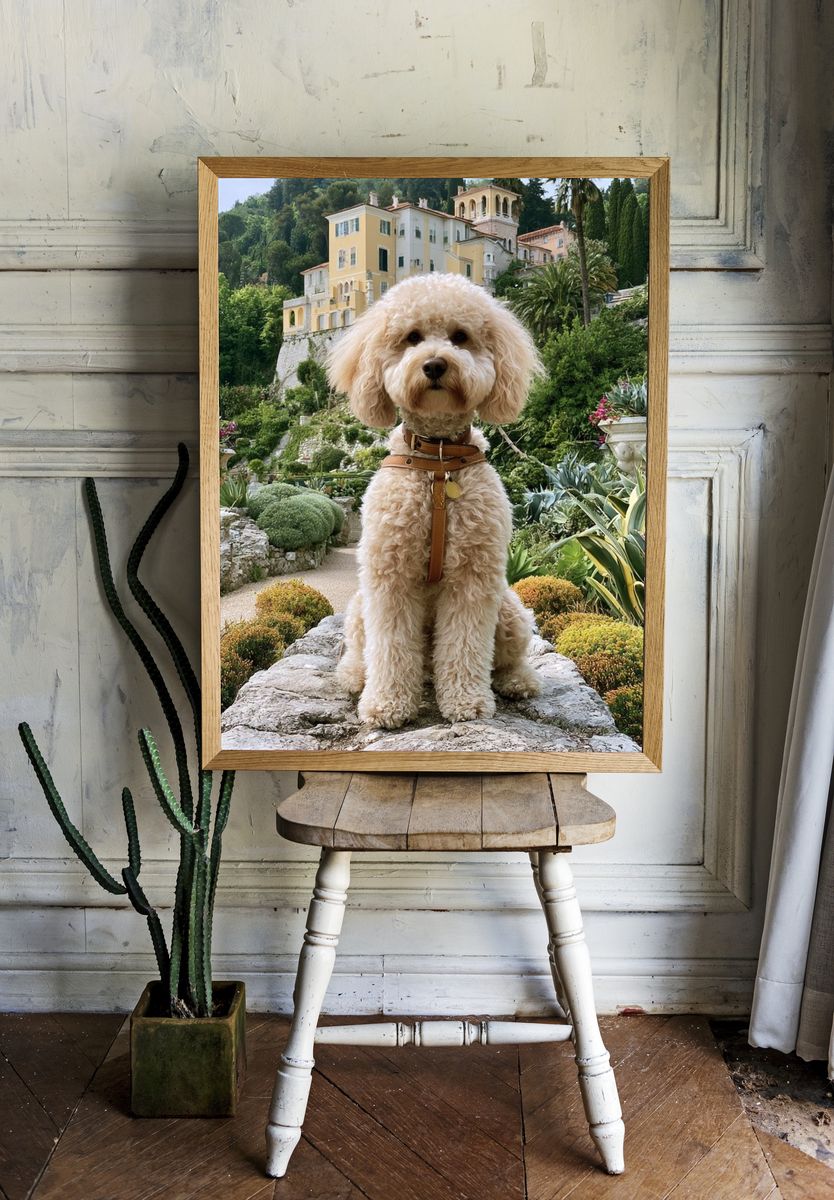 Poodle in Italian Garden Photography Poster. room preview