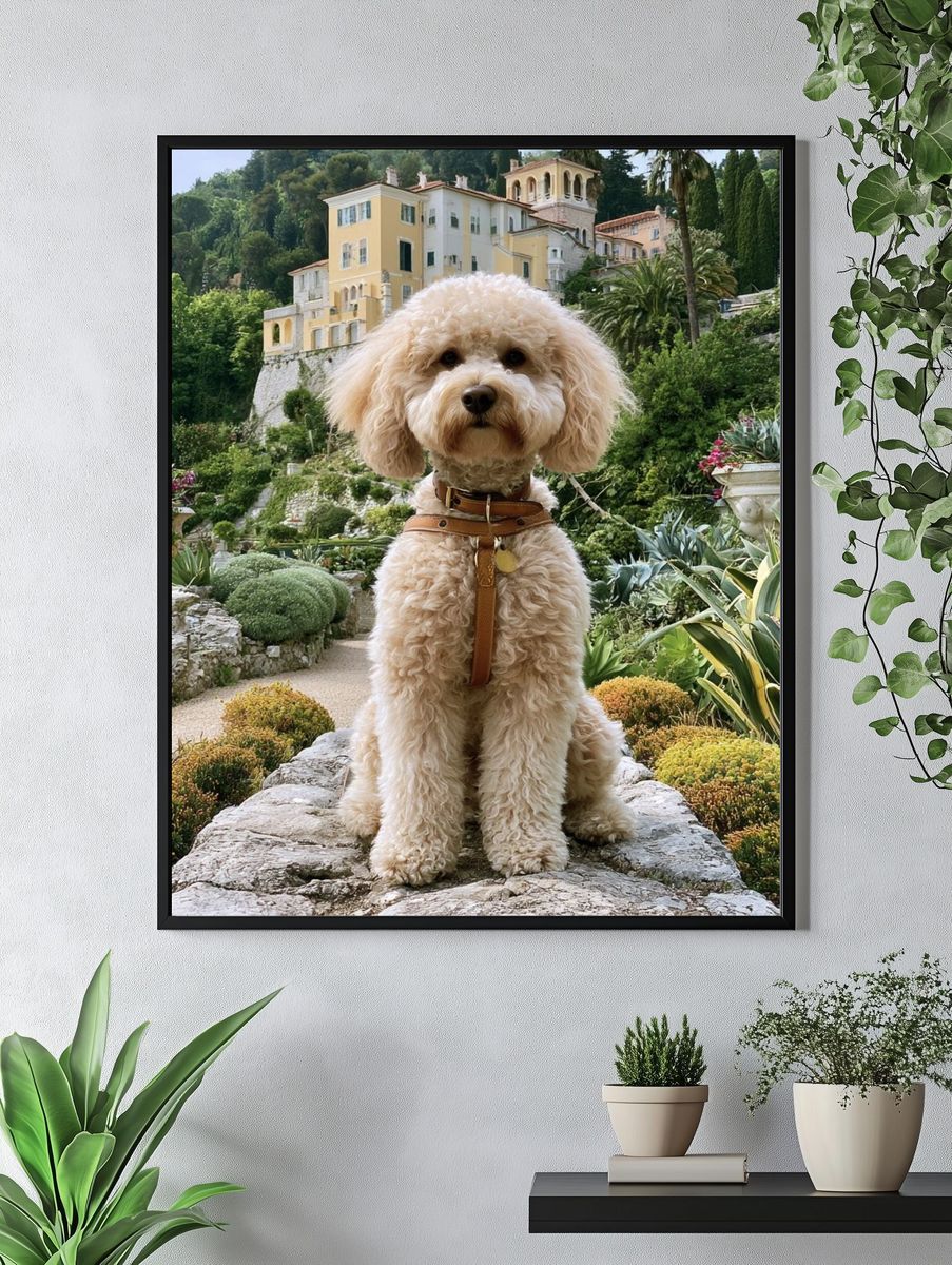 Poodle in Italian Garden Photography Poster. — room view 4