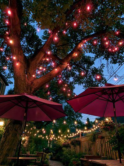 Twilight Garden String Lights Poster.